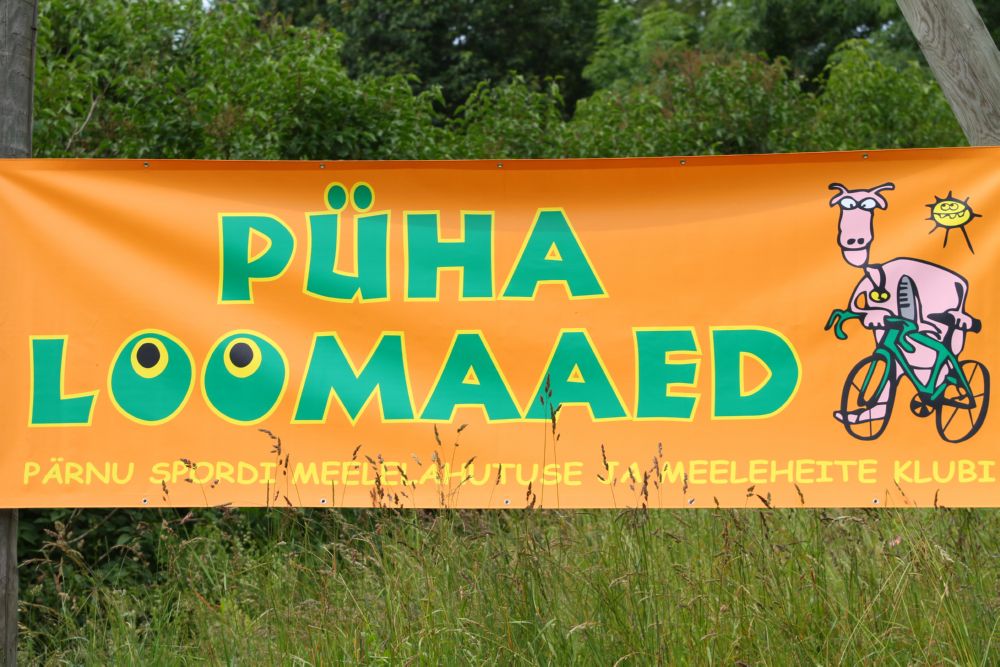 kihnu tuur (437)